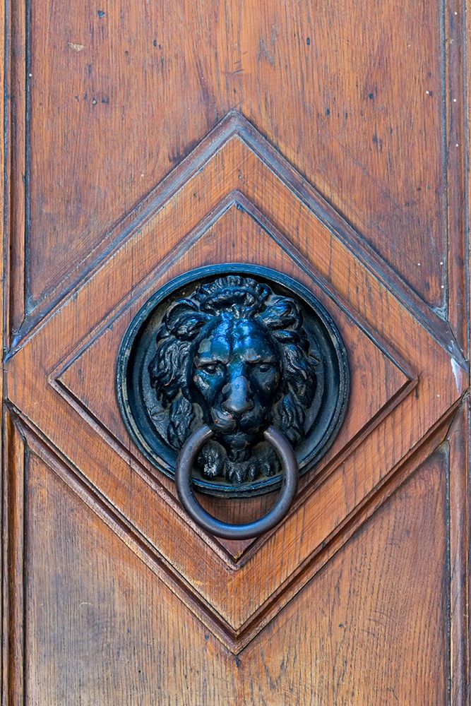 Vienna, Austria. Old wooden door with lion door knocker. art print by Julien McRoberts for $57.95 CAD