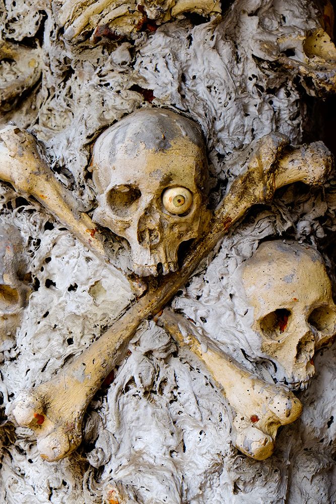 Vienna, Austria. Skull and bones art print by Julien McRoberts for $57.95 CAD