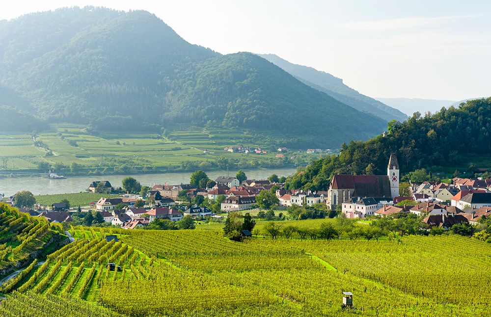 Historic village Spitz located in wine-growing area-UNESCO World Heritage Site-Lower Austria art print by Martin Zwick for $57.95 CAD