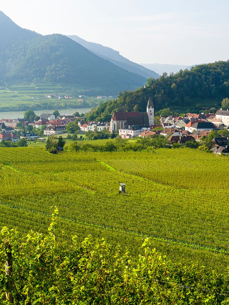 Historic village Spitz located in wine-growing area-UNESCO World Heritage Site-Lower Austria art print by Martin Zwick for $57.95 CAD