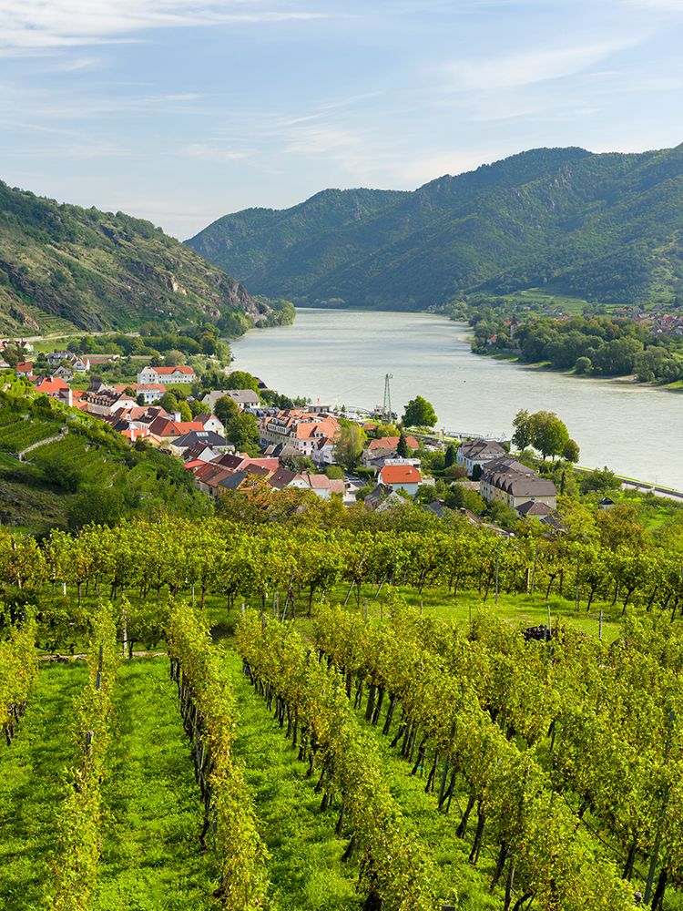 Historic village Spitz located in wine-growing area-UNESCO World Heritage Site-Lower Austria art print by Martin Zwick for $57.95 CAD