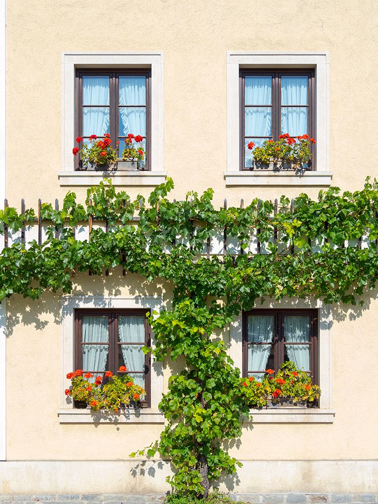 Historic village Unterloiben located in wine-growing area-UNESCO World Heritage Site-Lower Austria art print by Martin Zwick for $57.95 CAD