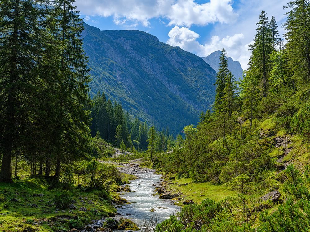 Valley Lechtal near Mitteregg in the Lechtal Alps Mt. Heiterwand in the background. Austria, Tyrol art print by Martin Zwick for $57.95 CAD