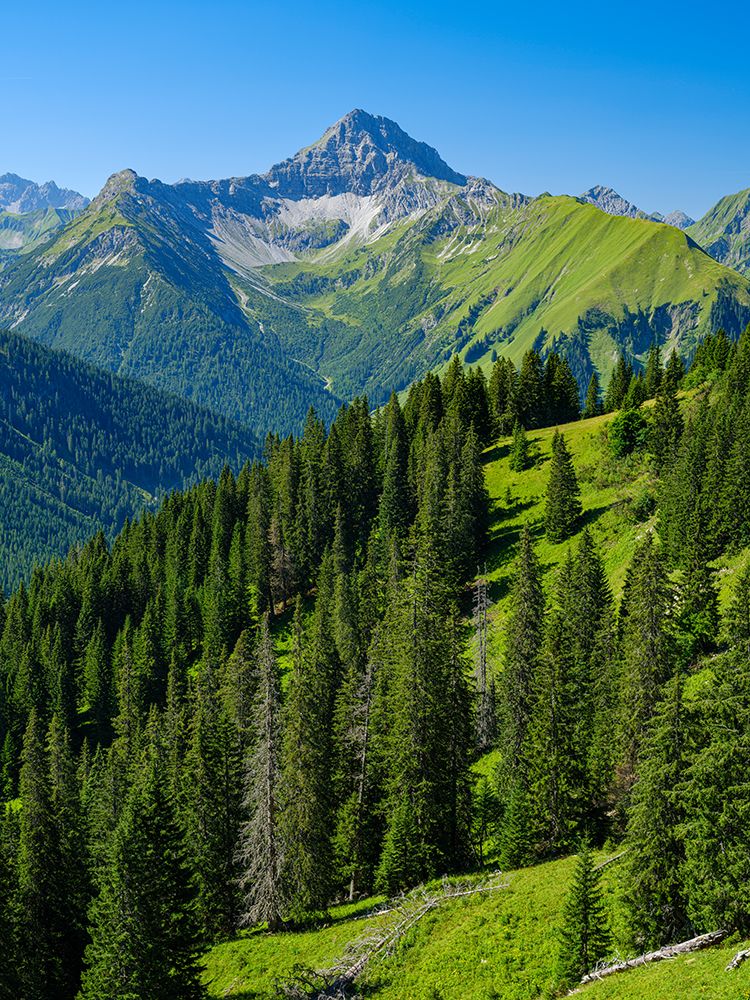 Mt. Namlos Wetterspitze near village Kelmen in the Lechtal Alps. Central Europe, Austria, Tyrol art print by Martin Zwick for $57.95 CAD