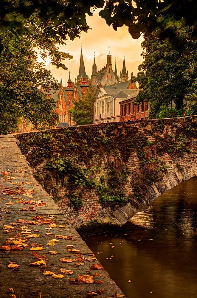 Fall leaf strewn bridge over a canal in Bruges-Belgium art print by Steve Mohlenkamp for $57.95 CAD