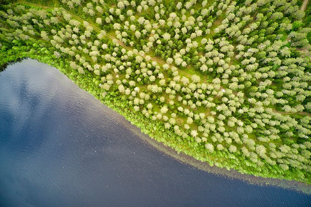 Finlandia-Savonlinna-aerial view-forest and lake art print by Michele Molinari for $57.95 CAD