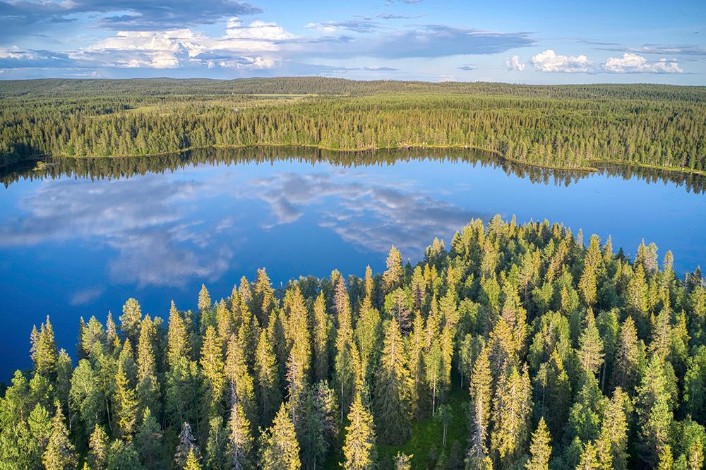 Finland, North Ostrobothnia, Rukatunturi area. Aerial views of forest, lakes and marshes. art print by Michele Molinari for $57.95 CAD