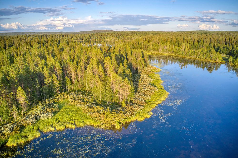 Finland, North Ostrobothnia, Rukatunturi area. Aerial views of forest, lakes and marshes. art print by Michele Molinari for $57.95 CAD