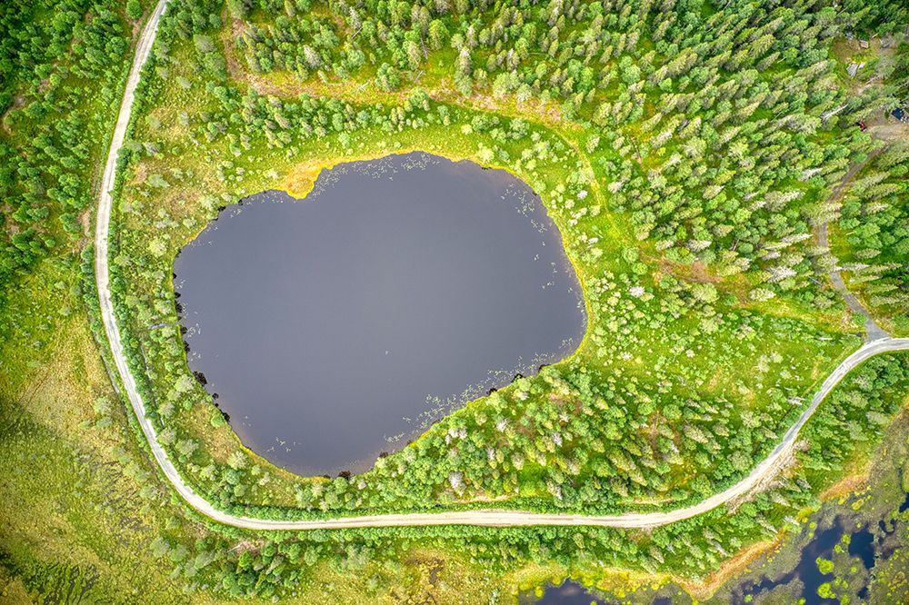 Finland, North Ostrobothnia, Rukatunturi area. Marshlands, The yellow rim is due to blooming plants art print by Michele Molinari for $57.95 CAD