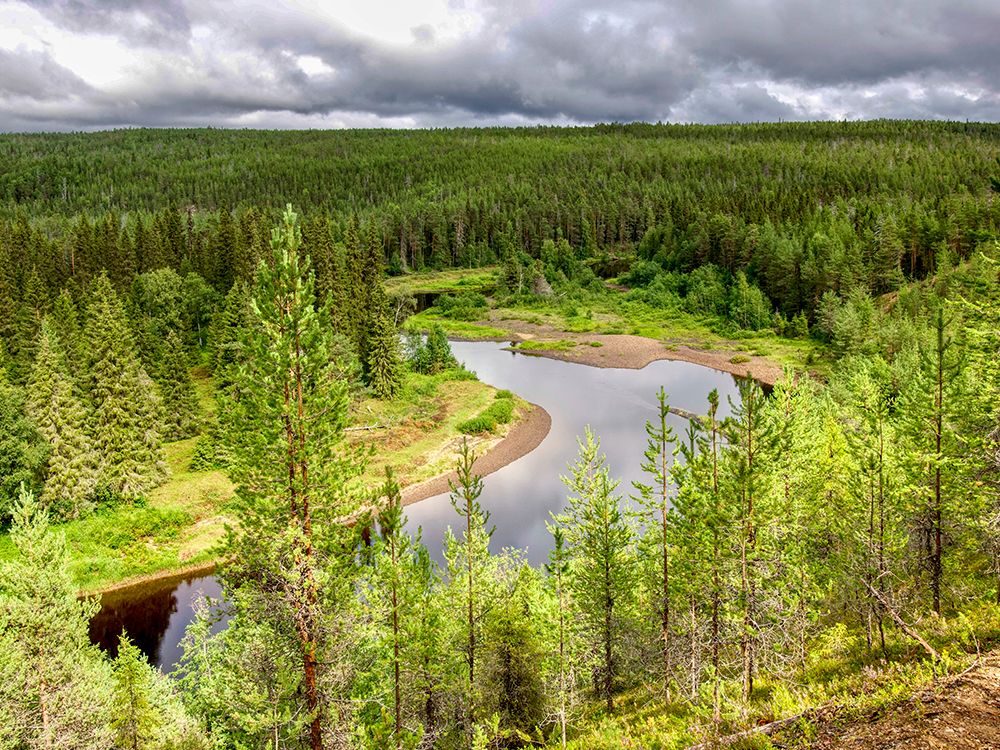 Finland, Kuusamo, Oulanka National Park. Oulanka river. art print by Michele Molinari for $57.95 CAD