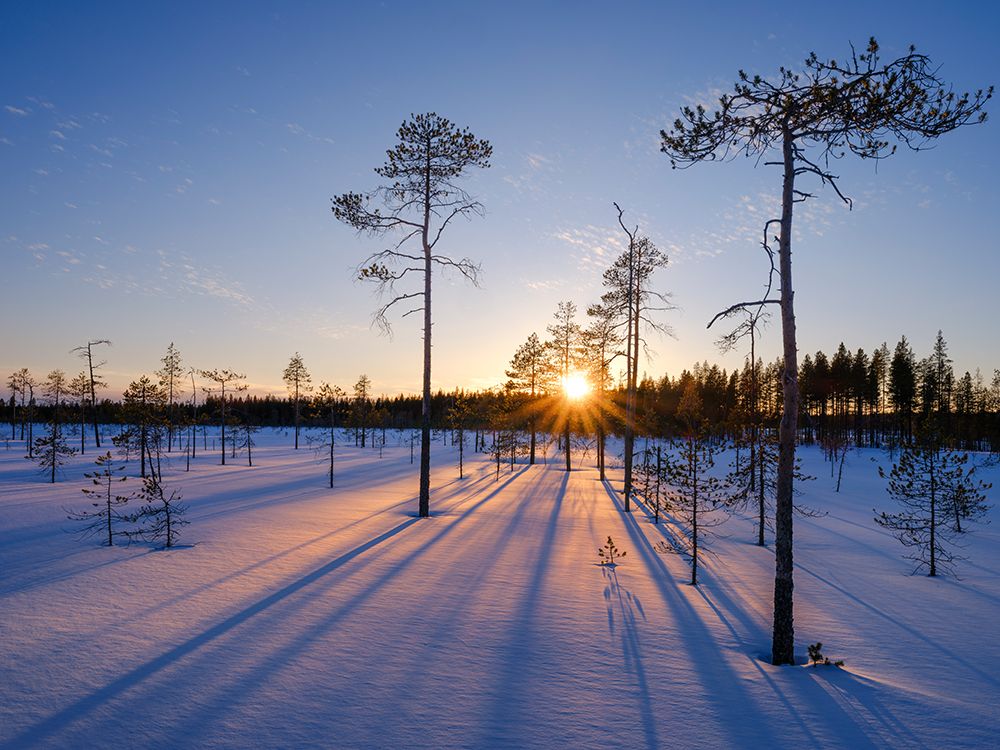 Winter in the Oulanka National Park in Finnish Lapland. art print by Martin Zwick for $57.95 CAD