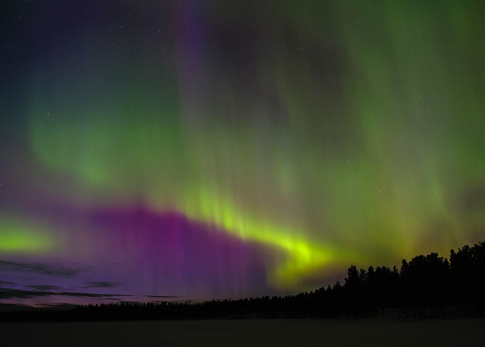 Northern lights during winter near Kayla in Finnish Lapland. Scandinavia, Finland. art print by Martin Zwick for $57.95 CAD