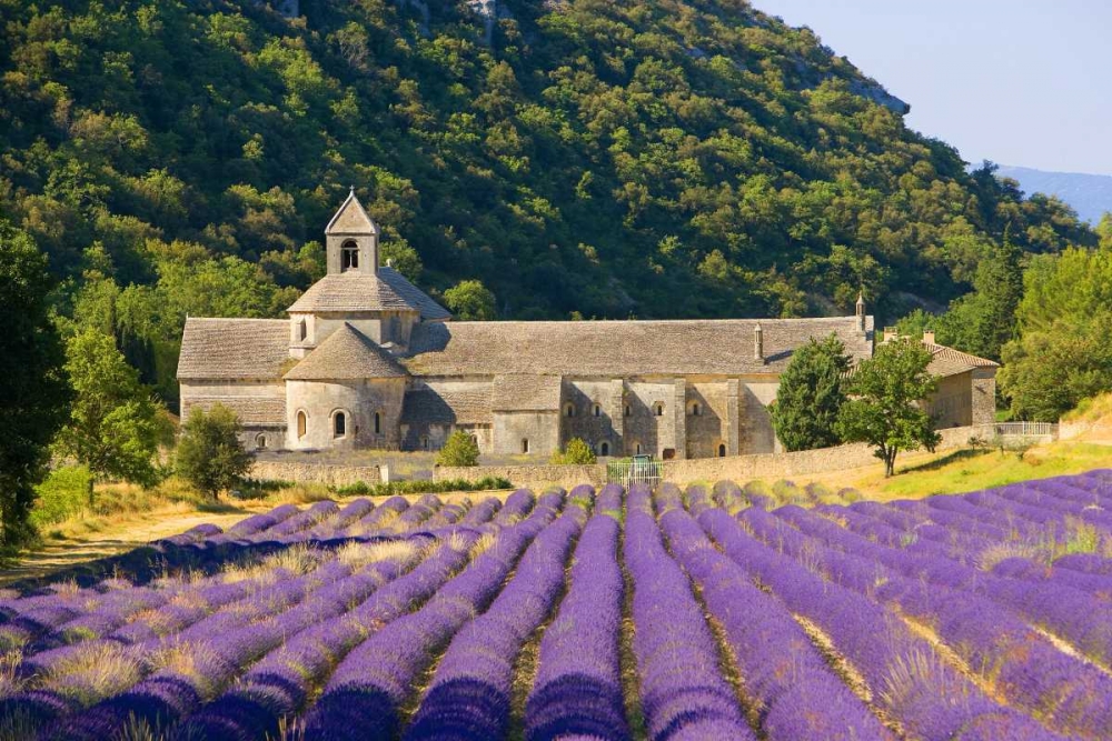 France, Gordes Cistercian monastery of Senanque art print by Jim Zuckerman for $57.95 CAD