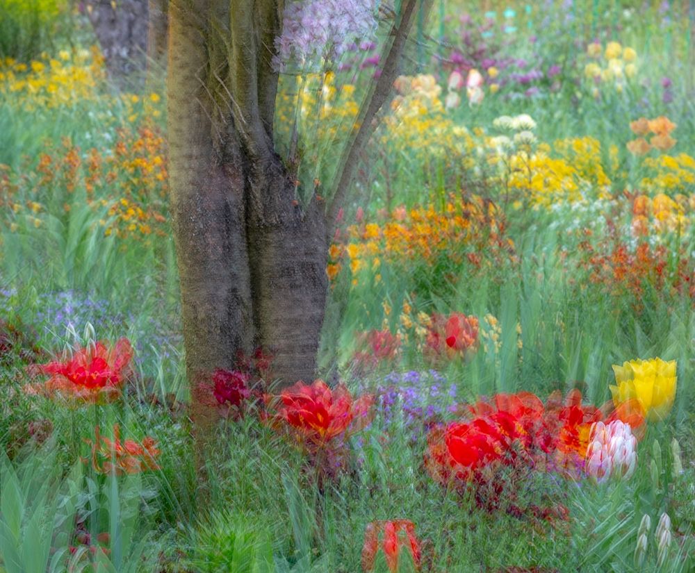 France-Giverny Impression of flowers in Monets Garden art print by Jaynes Gallery for $57.95 CAD