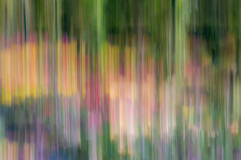 France-Giverny Abstract of flowers in Monets Garden art print by Jaynes Gallery for $57.95 CAD