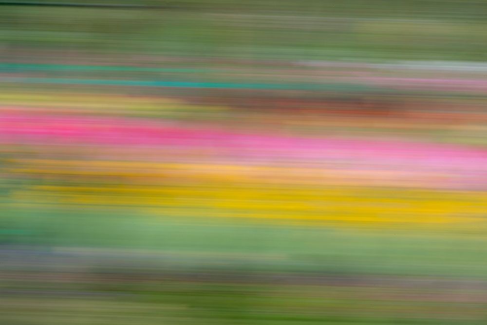 France-Giverny Abstract of flowers in Monets Garden art print by Jaynes Gallery for $57.95 CAD