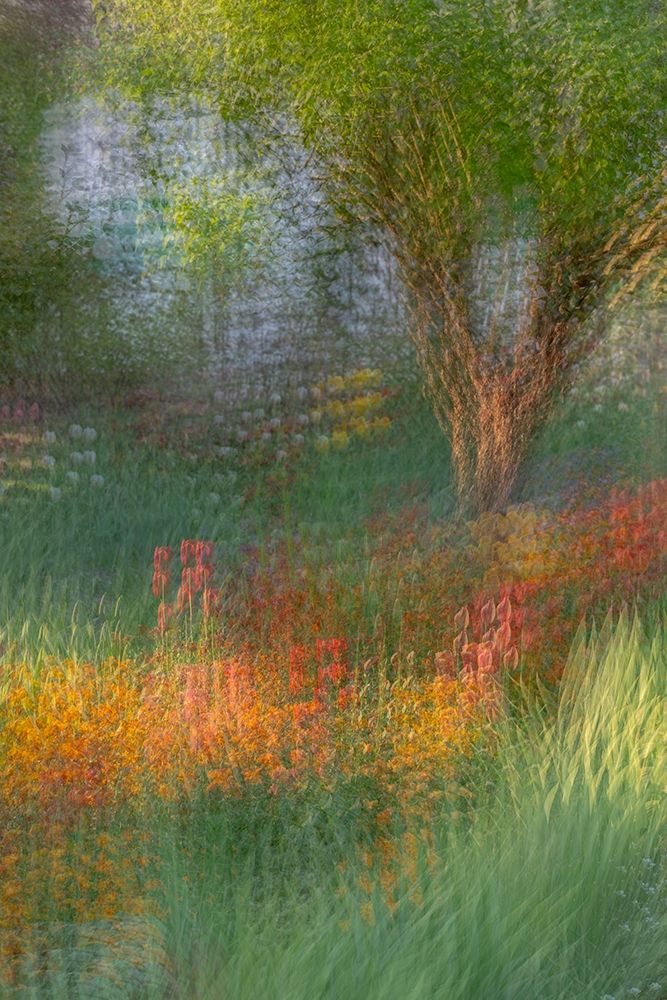 France-Giverny Impression of flowers in Monets Garden art print by Jaynes Gallery for $57.95 CAD