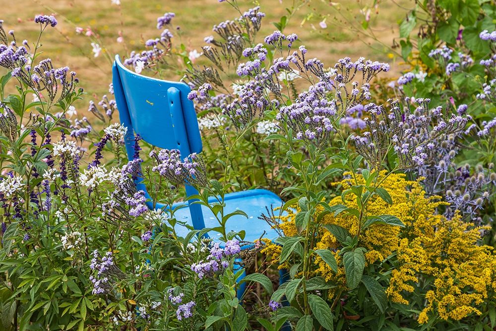 France-Haute-Vienne-Limoges Flowers and a chair in a garden in Limoges art print by Emily Wilson for $57.95 CAD