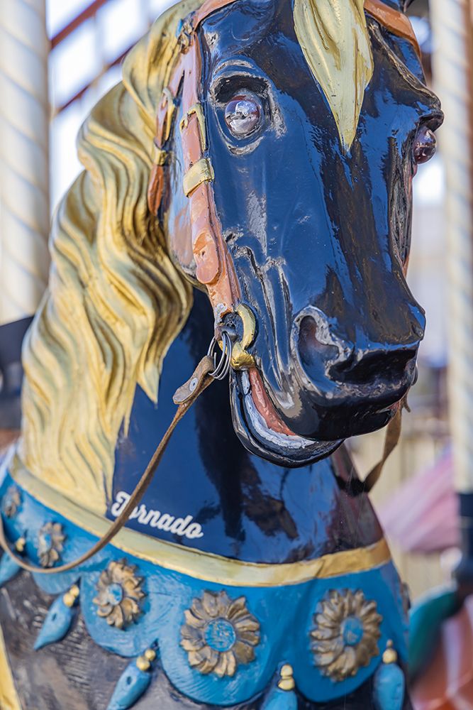 Provence-Alpes-Cote dAzur-France Carousel horse art print by Emily M. Wilson for $57.95 CAD