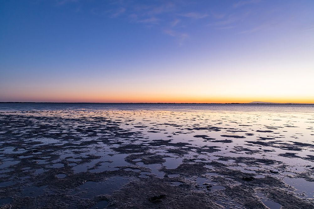 Provence-Alpes-Cote dAzur-France Sunrise on the marshlands of the Camargue art print by Emily M. Wilson for $57.95 CAD