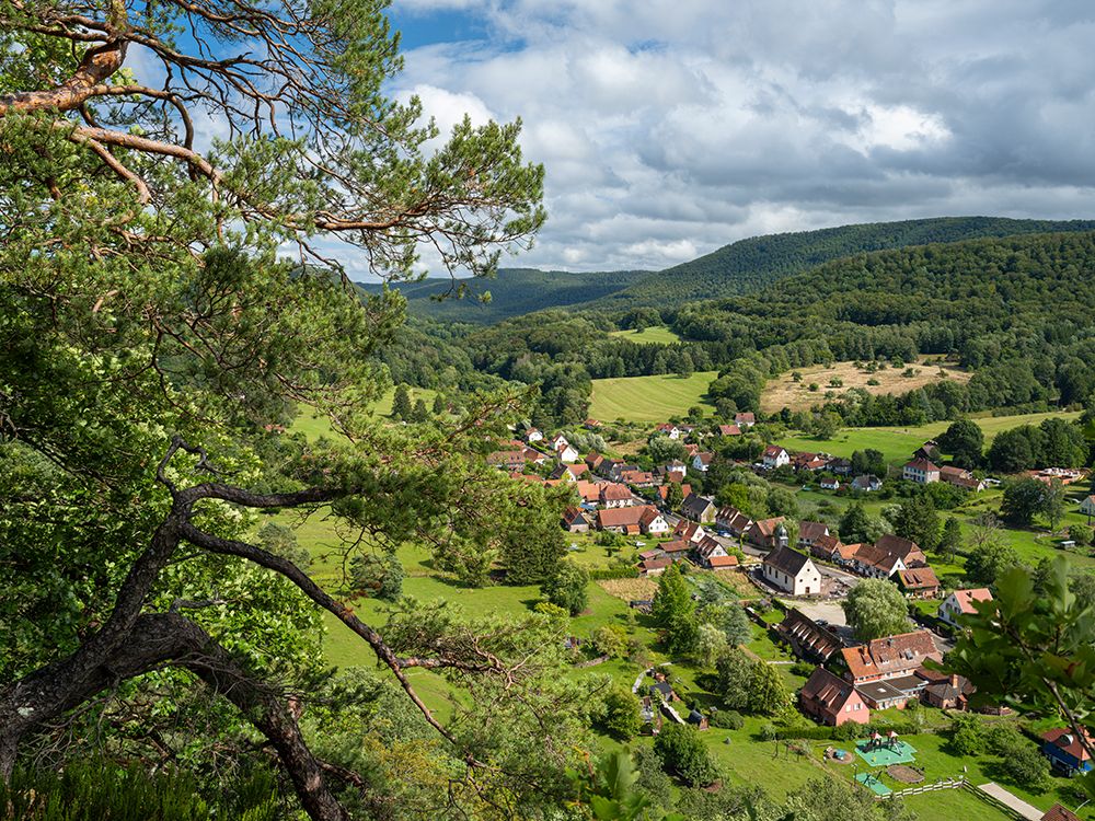 Obersteinbach in the Palatinate Forest, Vosges du Nord a nature reserve. France, Grand Est. art print by Martin Zwick for $57.95 CAD