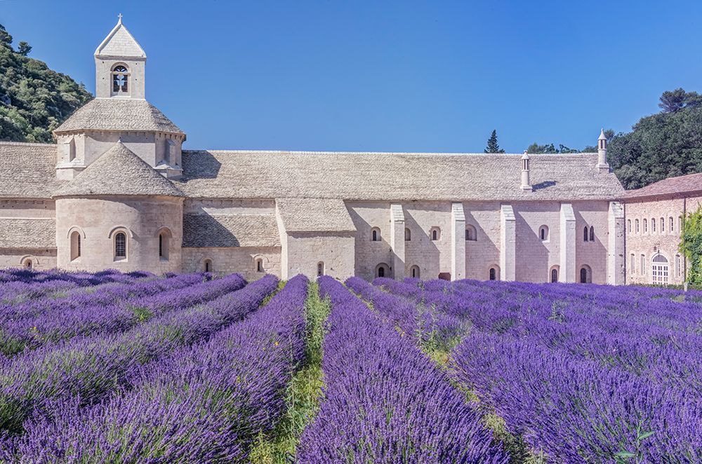 France, Provence, Gordes. Abbey of Our Lady of Senanque built in the 12th century art print by Rob Tilley for $57.95 CAD