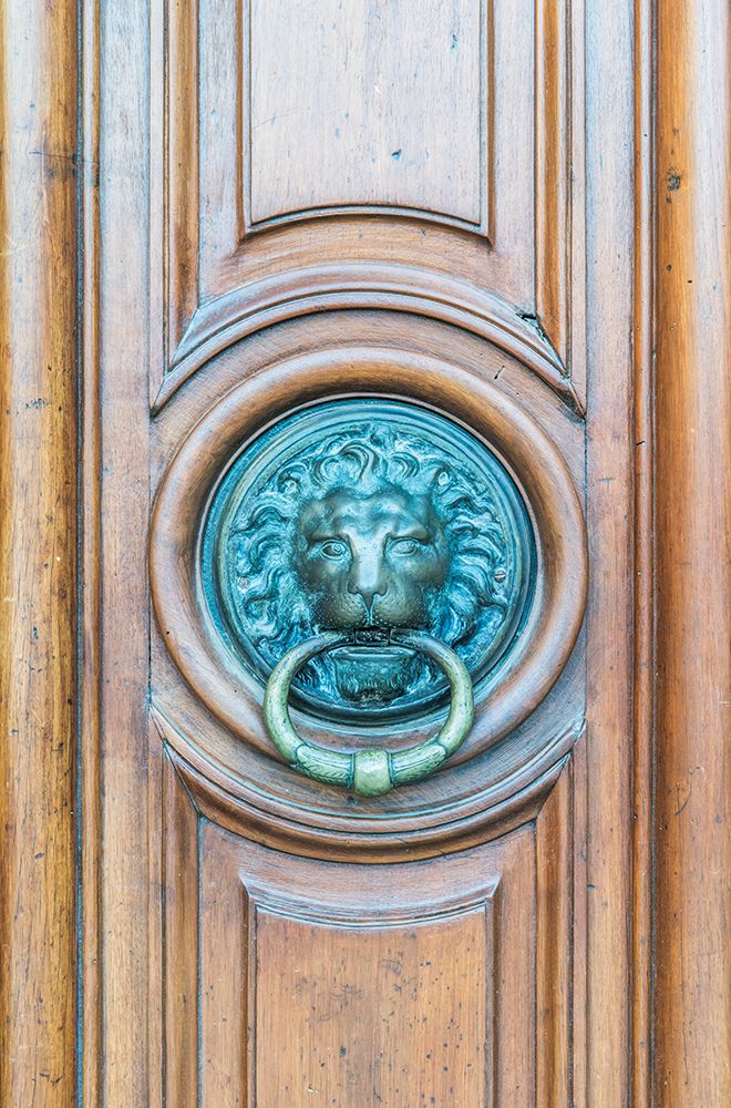 France, Provence, Arles. Lion door knocker at City Hall art print by Rob Tilley for $57.95 CAD
