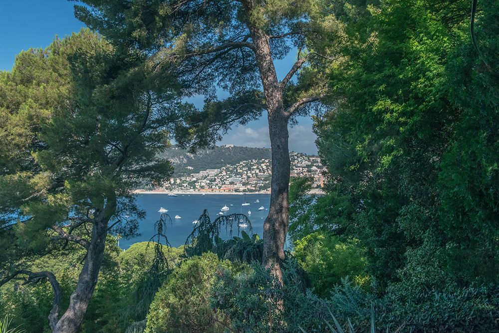 France, Provence. Saint-Jean-Cap-Ferrat, Villa Ephrussi de Rothschild art print by Rob Tilley for $57.95 CAD