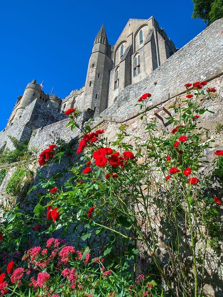 Mont Saint-Michel in Normandy France art print by Steve Mohlenkamp for $57.95 CAD