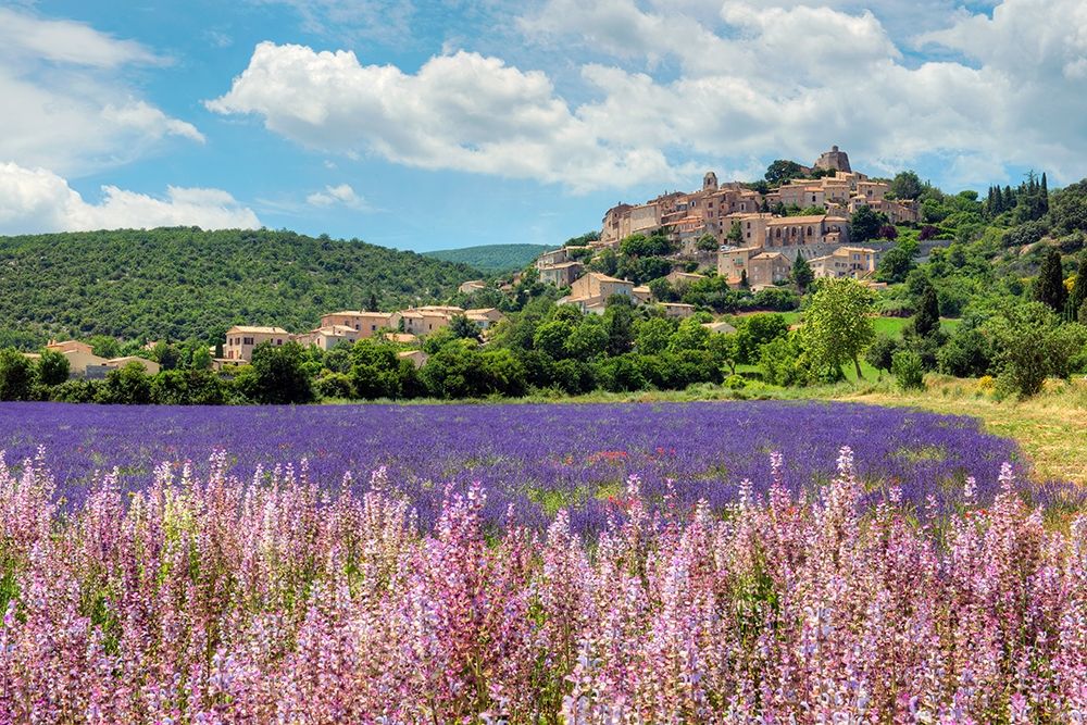 Lavender bloom near Sault in the south of France art print by Steve Mohlenkamp for $57.95 CAD