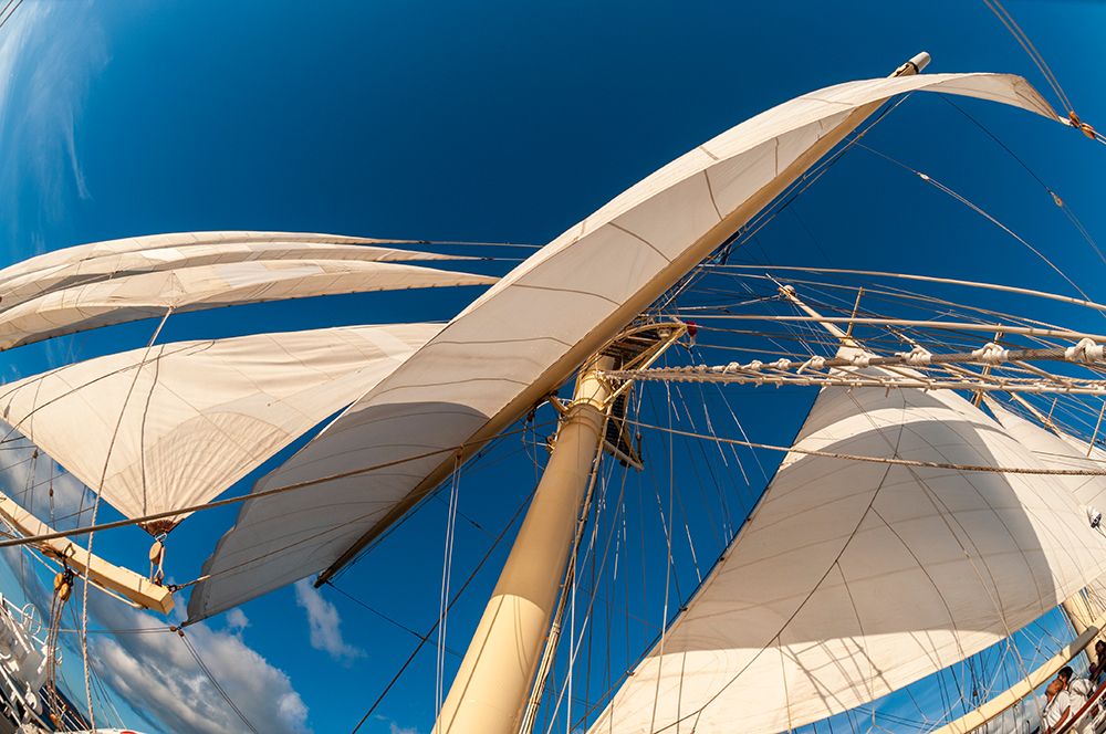 Looking up the at a mast and sails of a barquentine cruise ship Guadeloupe-West Indies art print by Sergio Pitamitz for $57.95 CAD