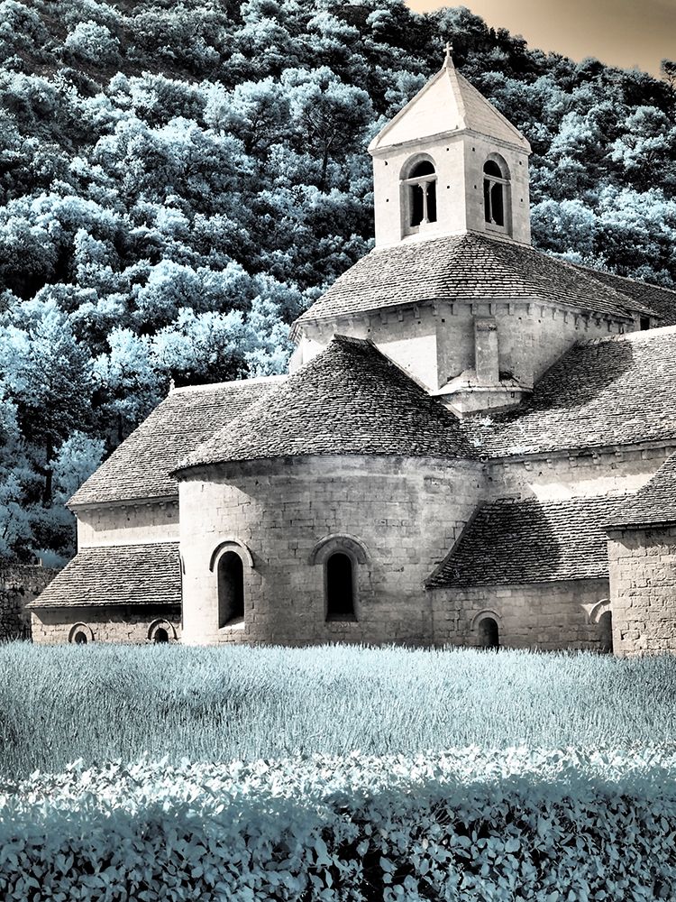 France, Provence. Blooming purple lavender fields at Senanque Abbey. art print by Terry Eggers for $57.95 CAD