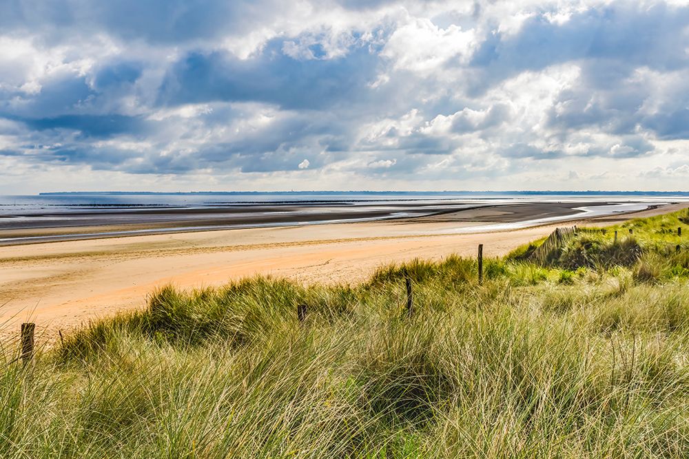 Utah Beach- beach grass- Normandy- France. art print by William Perry for $57.95 CAD