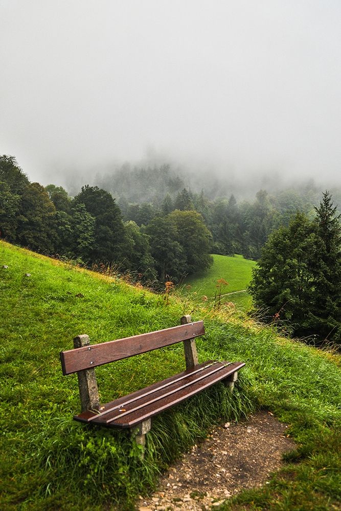 Germany-Bavaria-Berchtesgaden-Early Morning Fog art print by Hollice Looney for $57.95 CAD