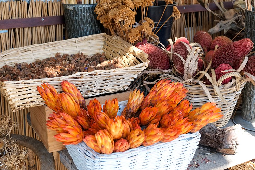 Munich-Germany Farmers market Fall dried flowers art print by Julien McRoberts for $57.95 CAD