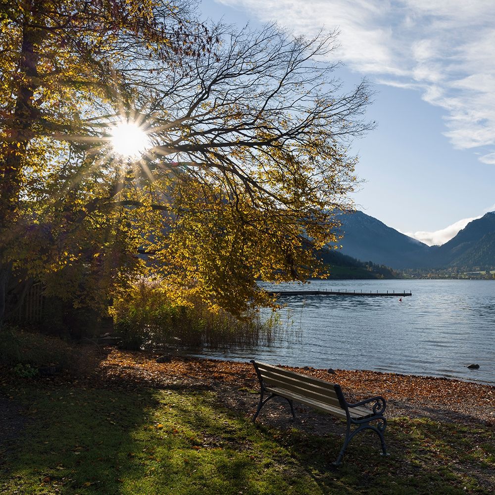 Sunrise at lake and village Schliersee in the Bavarian Alps during autumn-Bavaria-Germany art print by Martin Zwick for $57.95 CAD