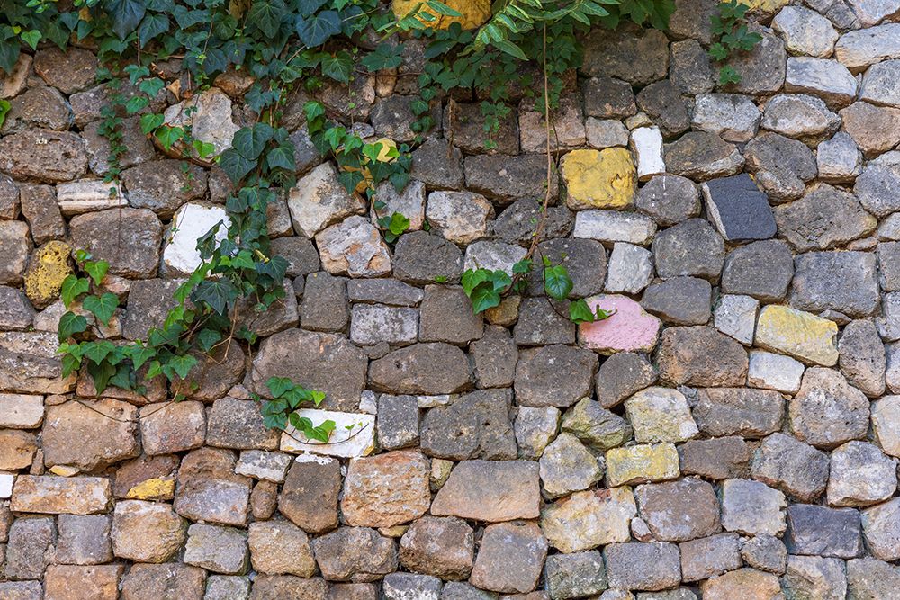 Stone wall with ivy. Greece, Crete, Chania, Old Town. art print by Emily M. Wilson for $57.95 CAD
