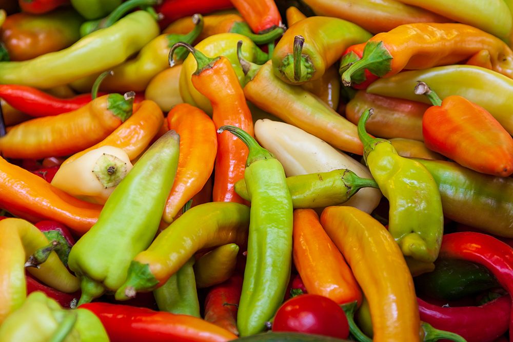 Variety of peppers art print by Tom Haseltine for $57.95 CAD