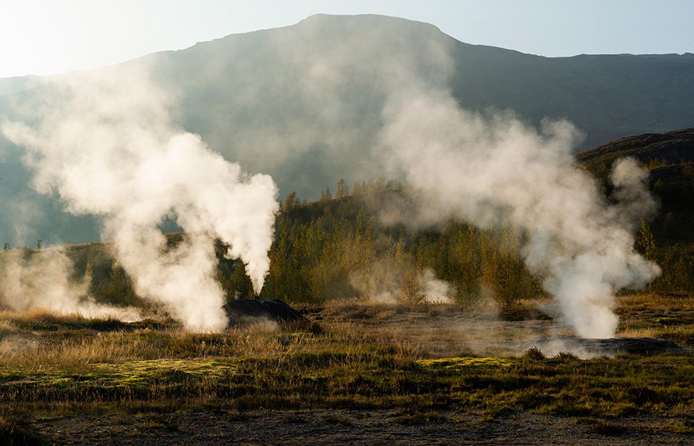 South Iceland. Steam vents from a geothermal active hot spring in Haukadalur. art print by Alison Wright for $57.95 CAD