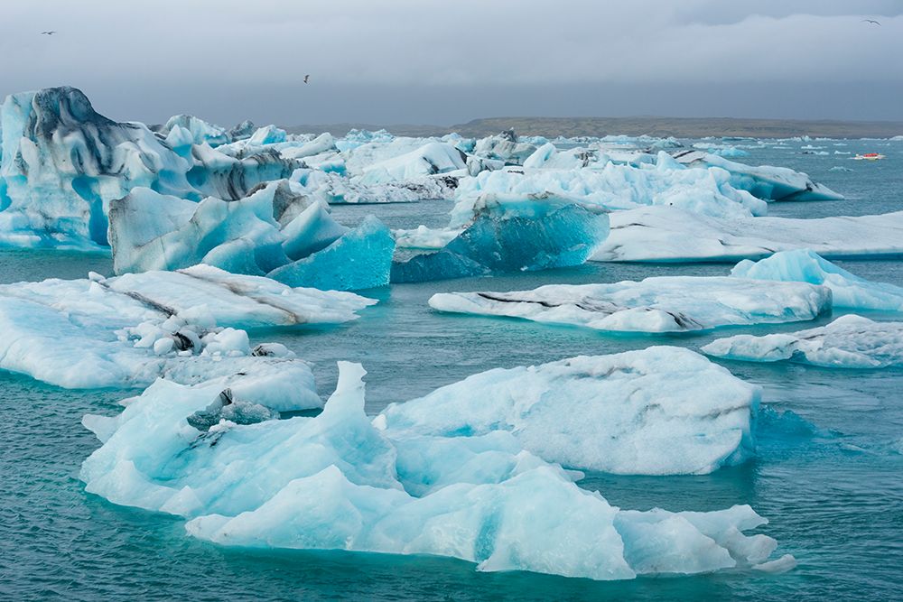 Iceland. Fjallsarlon Glacier Lake at the south end of the glacier in Vatnajokull National Park. art print by Alison Wright for $57.95 CAD