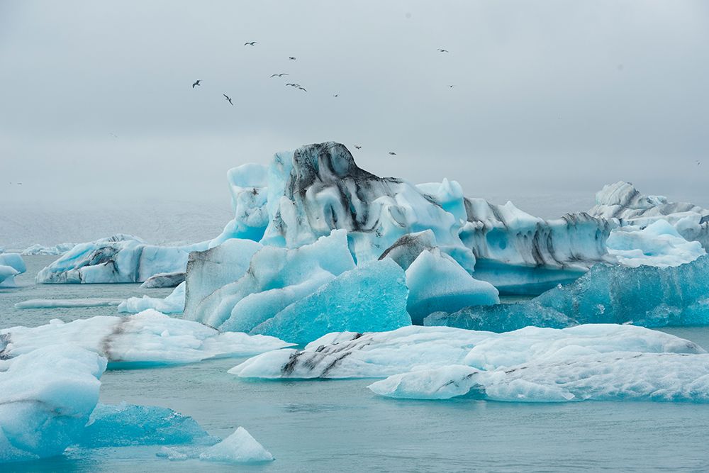 Iceland. Fjallsarlon Glacier Lake at the south end of the glacier in Vatnajokull National Park. art print by Alison Wright for $57.95 CAD