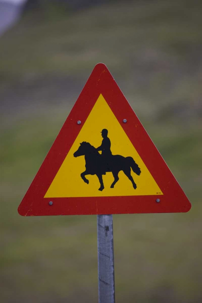 Iceland, Snaefellsnes Horse Crossing road sign art print by Don Grall for $57.95 CAD