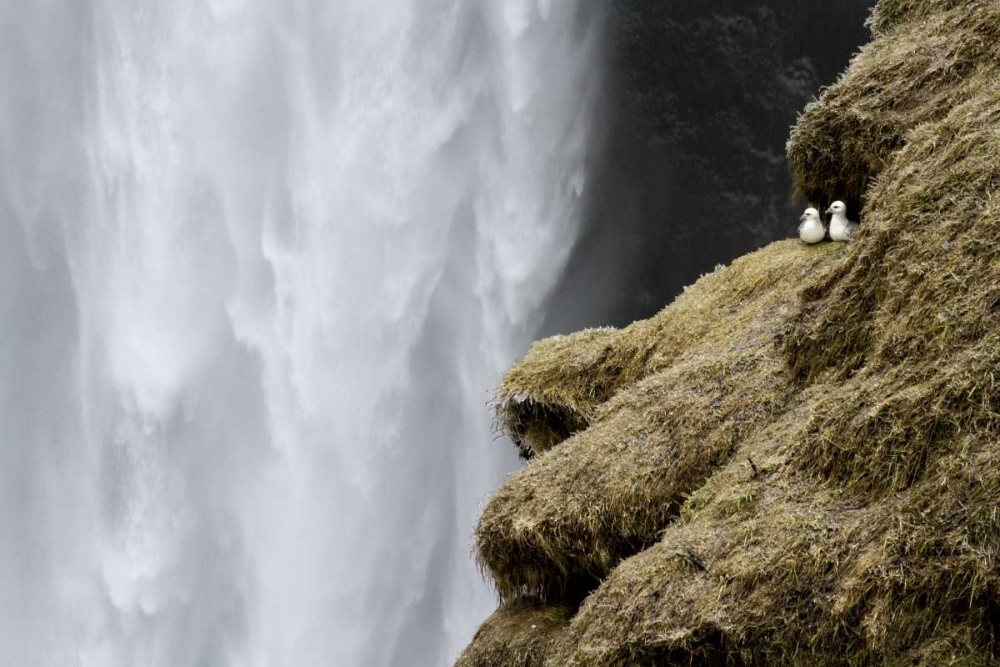 Iceland Close-up of Skogafoss waterfall art print by Bill Young for $57.95 CAD