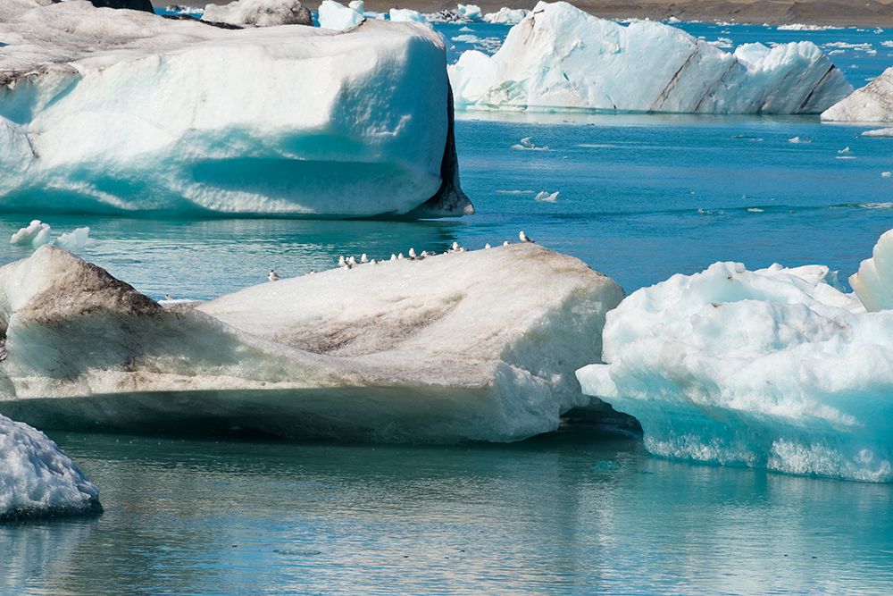 Icebergs in Jokulsarlon Glacial Lagoon-Iceland art print by Keren Su for $57.95 CAD