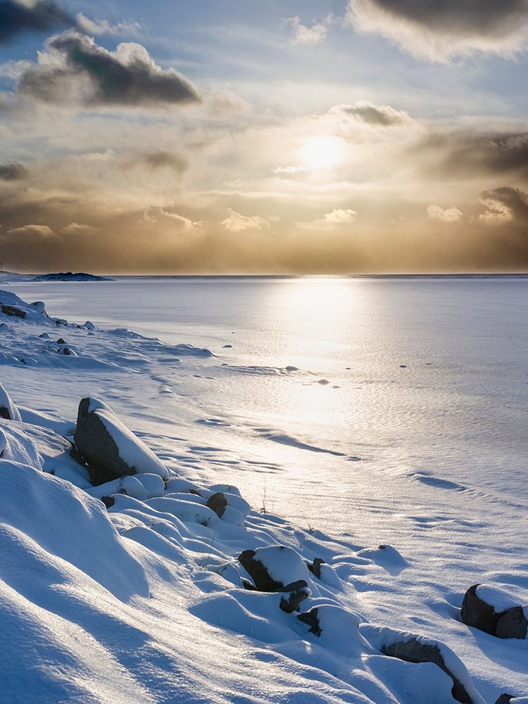 Landscape in the eastern fjords of Iceland between Hofn and Djupivogur Iceland art print by Martin Zwick for $57.95 CAD
