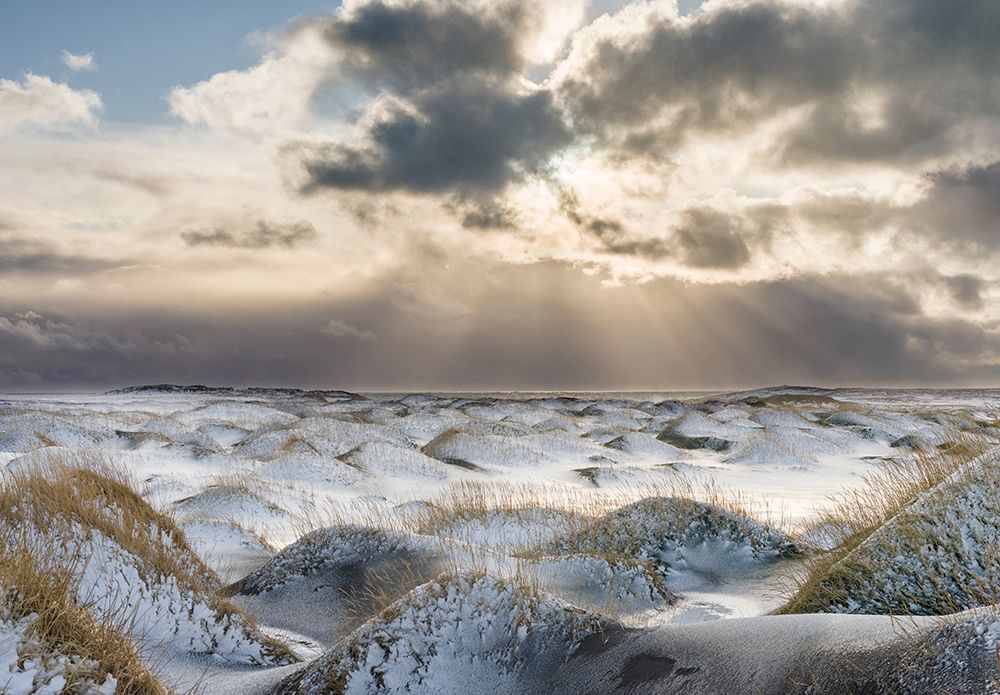 Coastal landscape with dunes at iconic Stokksnes during winter and stormy conditions Iceland art print by Martin Zwick for $57.95 CAD
