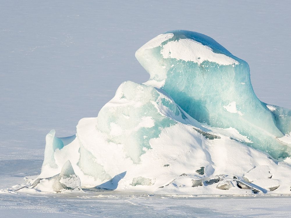 Glacier Fjallsjoekull and frozen glacial lake Fjallsarlon in Vatnajokull National Park art print by Martin Zwick for $57.95 CAD