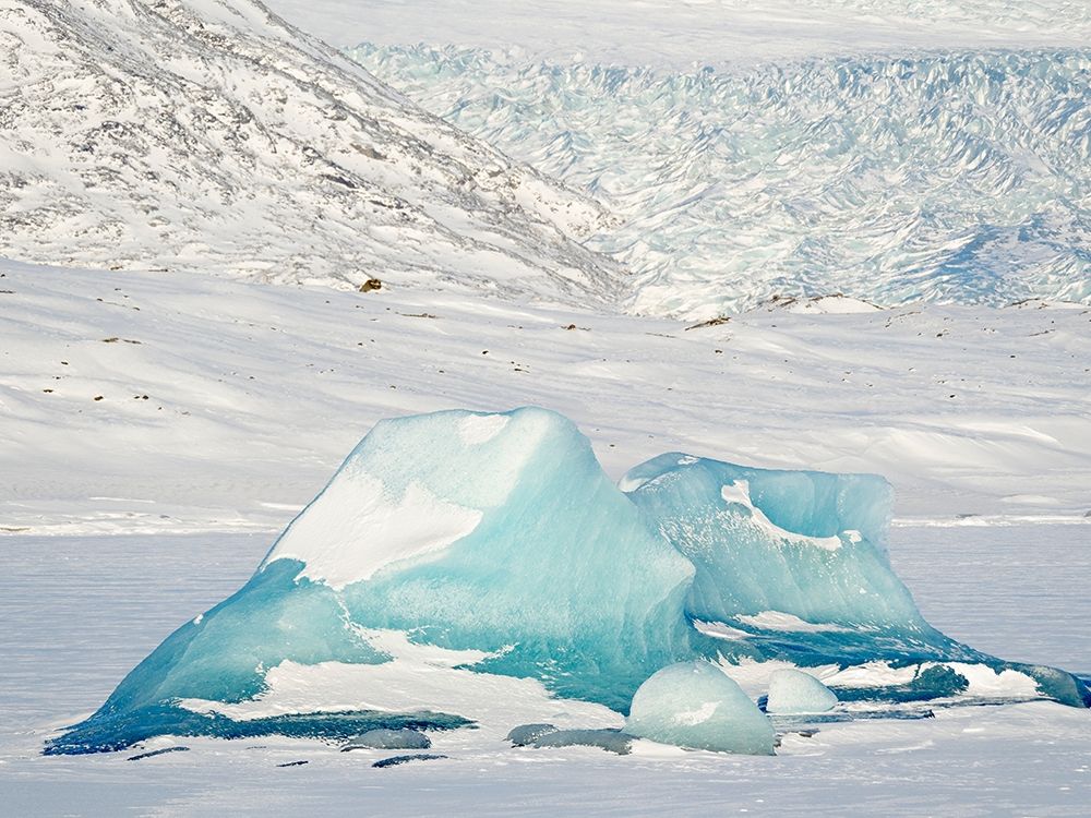 Frozen glacial lake Fjallsarlon in Vatnajokull National Park view towards glacier Breidamerkurjokull art print by Martin Zwick for $57.95 CAD