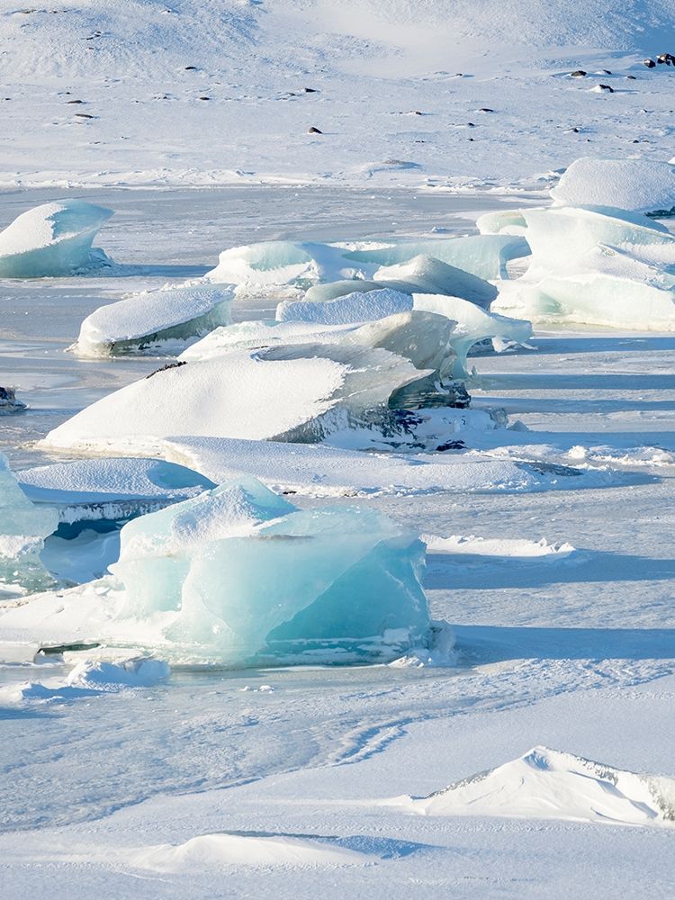 Frozen glacial lake Fjallsarlon in Vatnajokull National Park during winter Iceland art print by Martin Zwick for $57.95 CAD