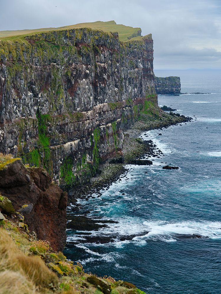 Iceland, cliffs of Latrabjarg during autumn. art print by Martin Zwick for $57.95 CAD
